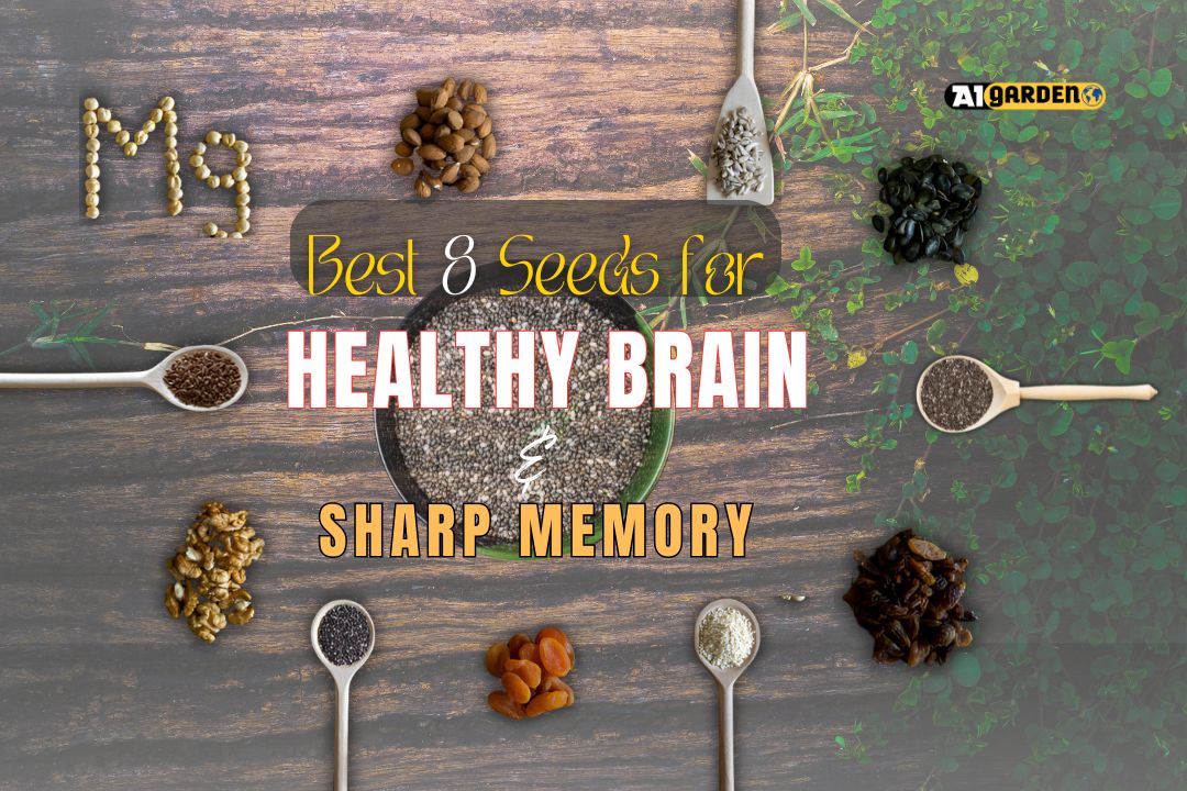 Seeds for a healthy brain and sharp memory